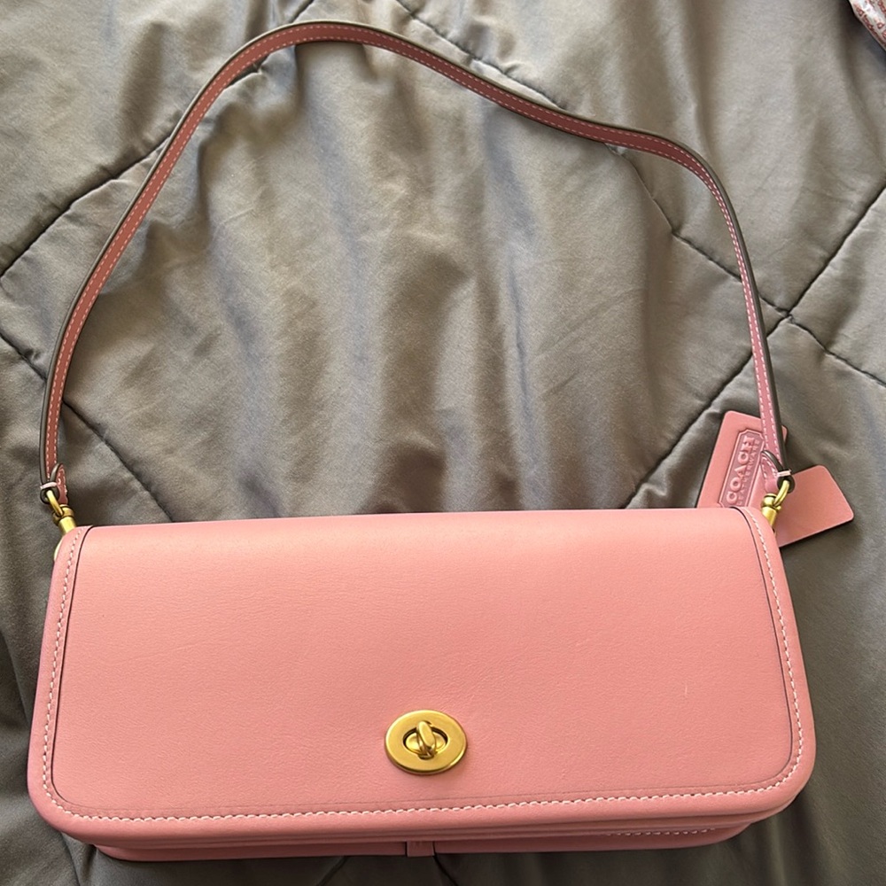 Coach the dinky bag